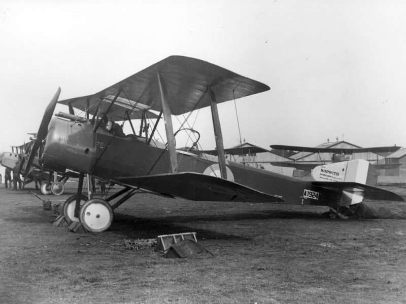 Sopwith 1-1/2 Strutter - to właśnie zmodyfikowana wersja tego samolotu trafiła na wyposażenie Argusa