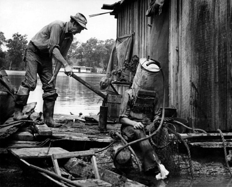 Poławiacz pereł z rzeki Missispi, USA, 1938 rok