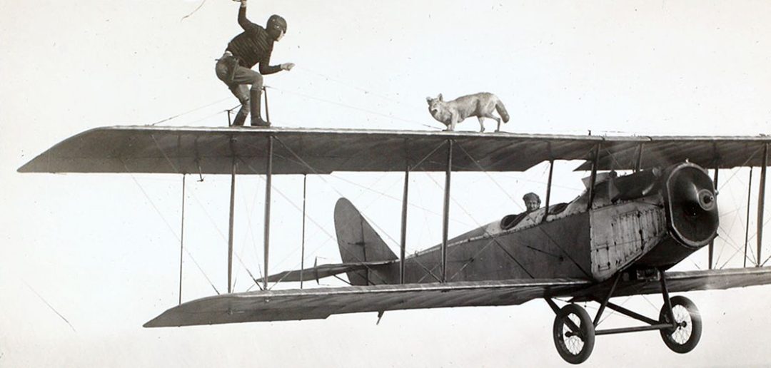 Człowiek i pies oraz samolot - zdjęcie