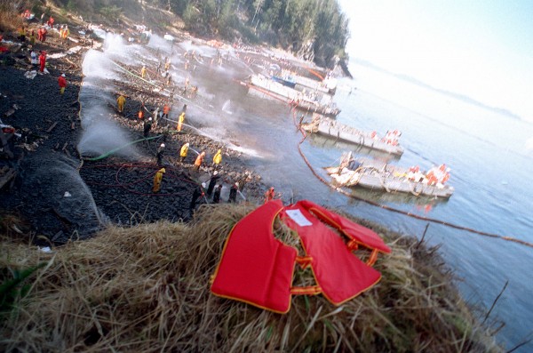 Akcja oczyszczania brzegu po wycieku z Exxon Valdez