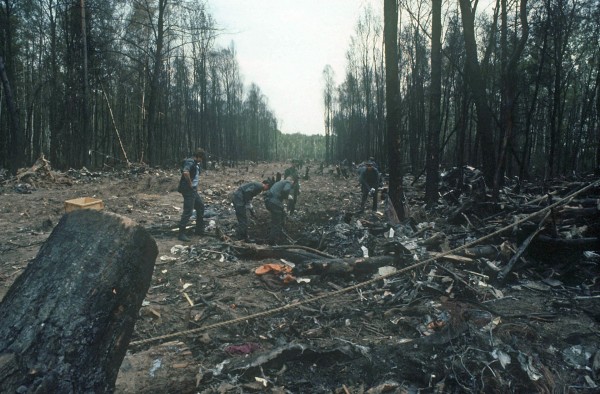 Las Kabacki po katastrofie (fot. Tadeusz Zagoździński/PAP)