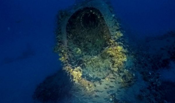Wrak okrętu podwodnego HMS P311 (fot. Massimo Domenico Bondone)