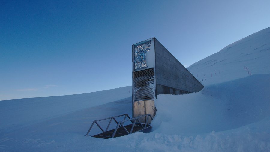 Svalbard - Globalny Bank Nasion (fot. Einar Jørgen Haraldseid)