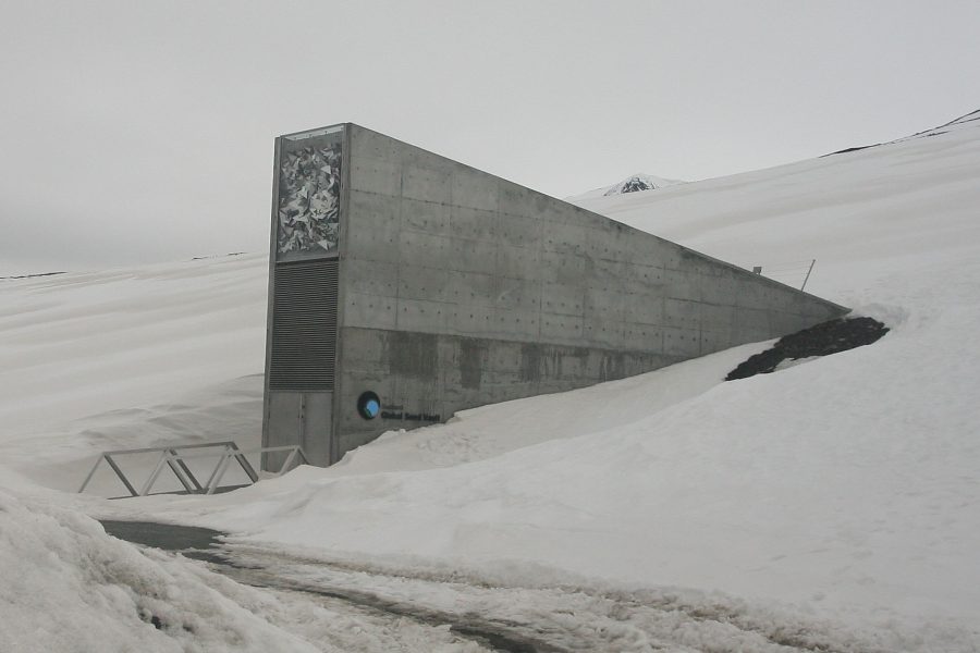 Svalbard - Globalny Bank Nasion (fot. Miksu/Wikimedia Commons)