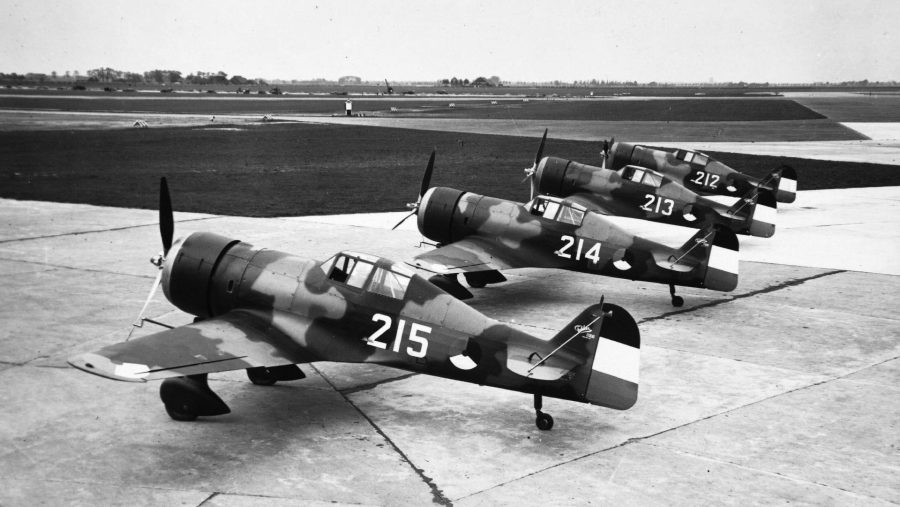 Holenderskie Fokkery D.XXI