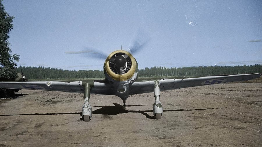 Fiński Fokker D.XXI