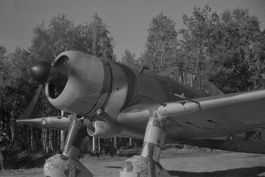 Fiński Fokker D.XXI