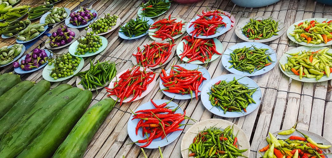 Papryka chili – właściwości i zastosowanie