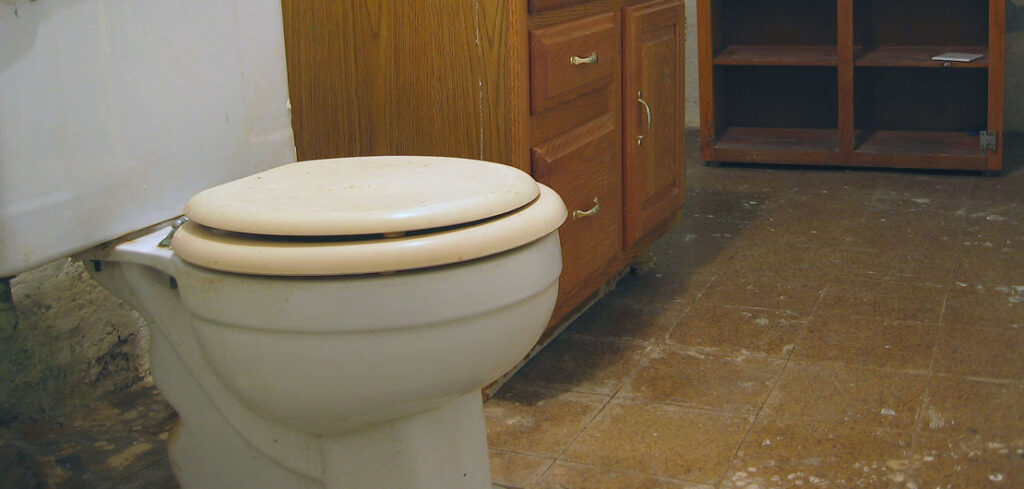 Pittsburgh toilet - czyli sedes na środku piwnicy